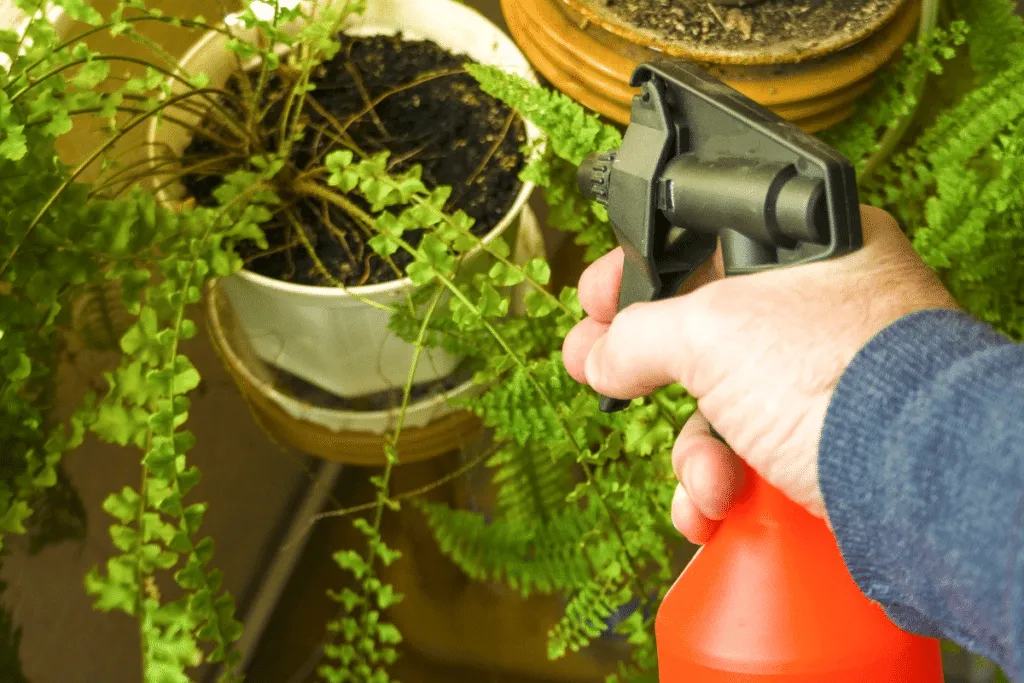 Černé mýdlo: tradiční poklad pro moderní zahradu