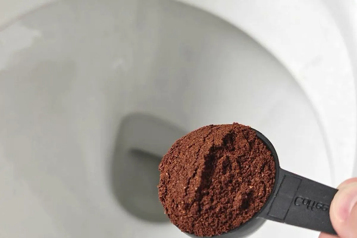 Síla kávové sedliny: domácí zázrak pro každý den