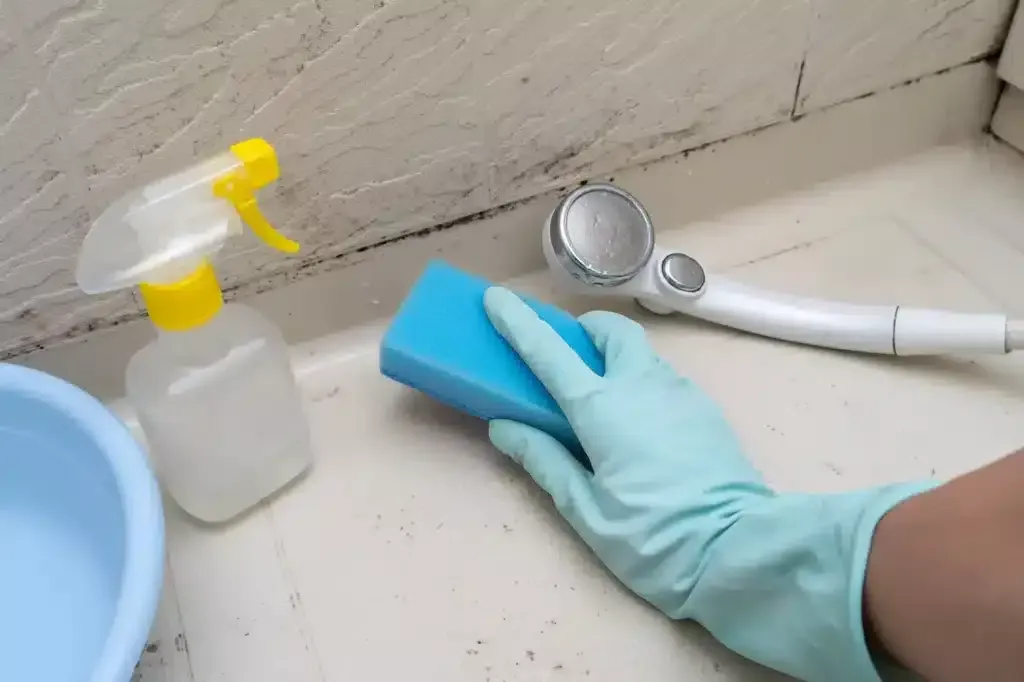 Stříbrňáci: pozor na skryté problémy s vlhkostí v domácnosti