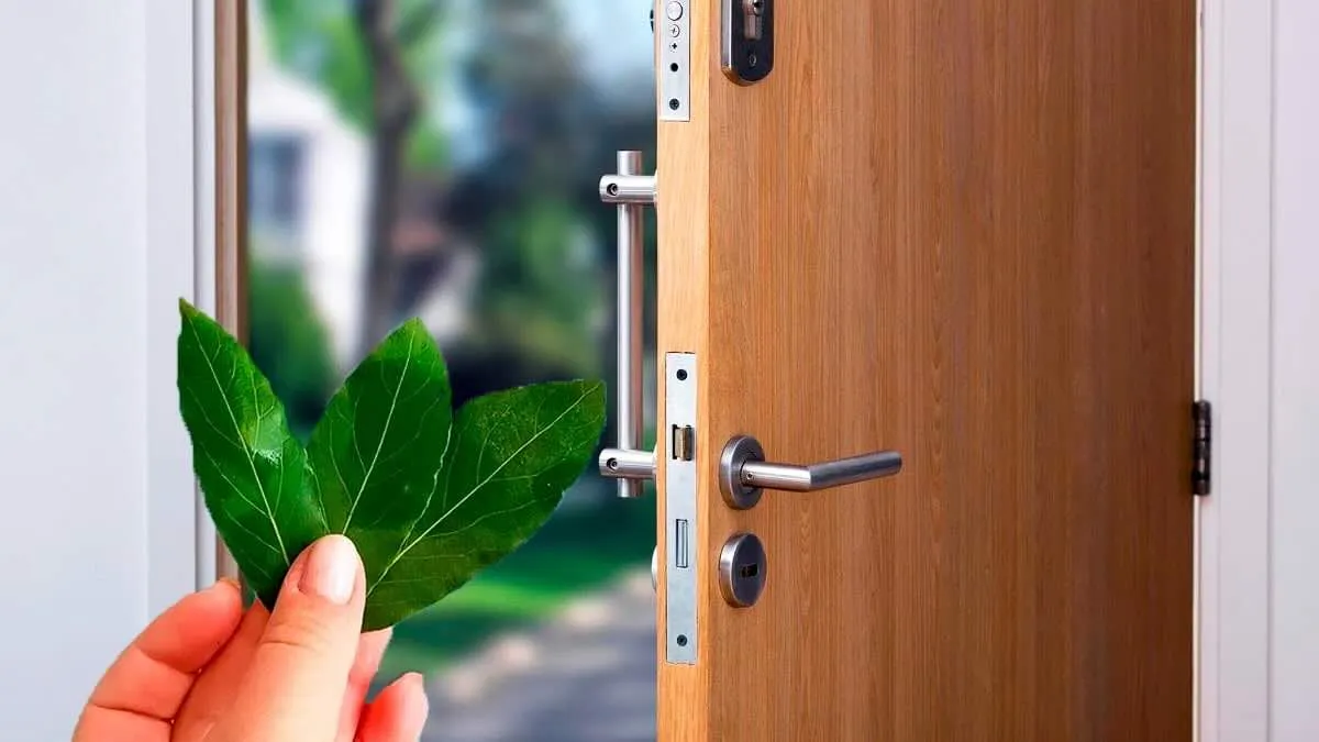 Symbolika a role vavřínu: Jak tato mocná rostlina mění domovy