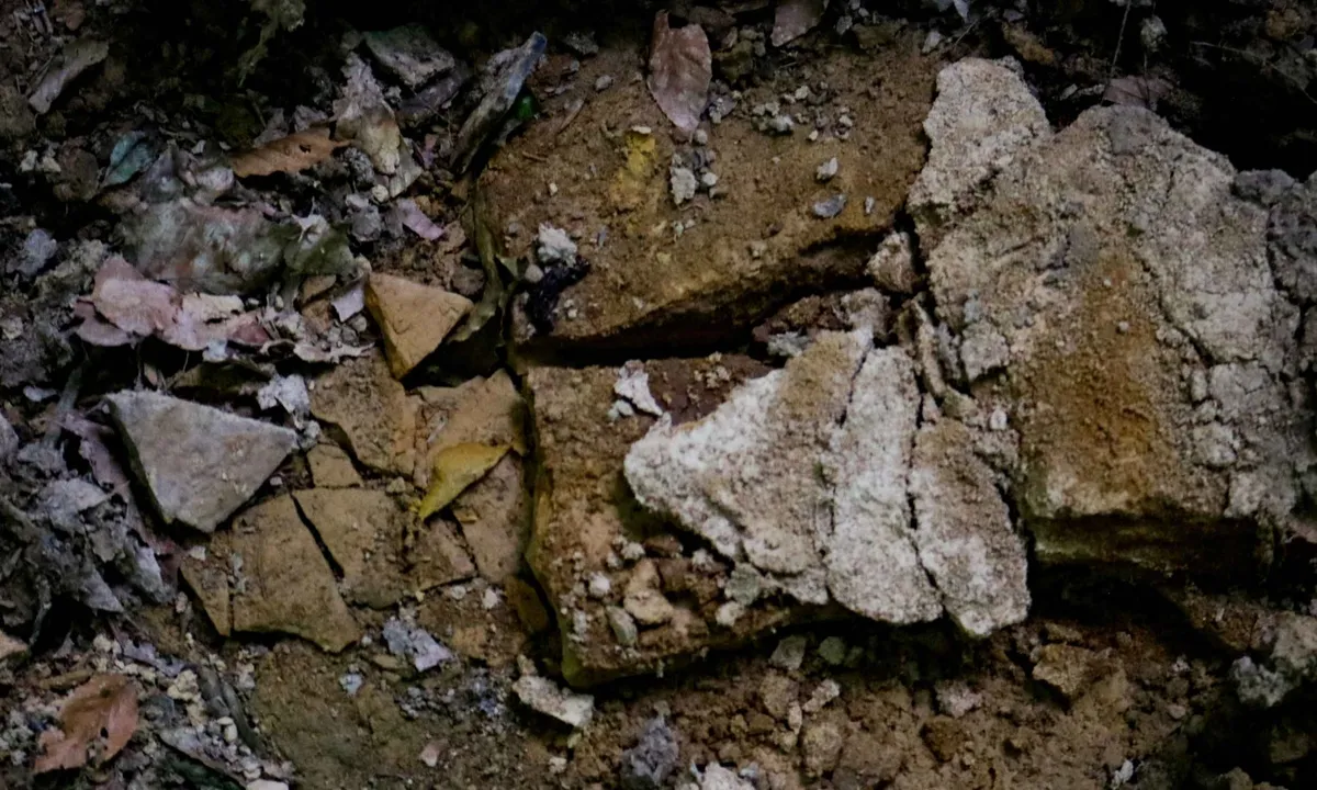 Fleet Space rozšiřuje záměr projektu Cisco v Quebeku pomocí satelitní umělé inteligence