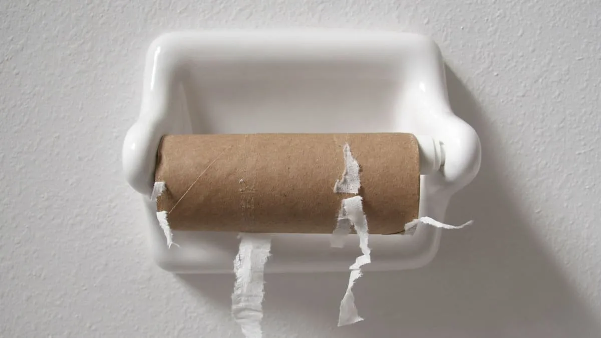 Skončí v Česku éra toaletního papíru? Co nás čeká?