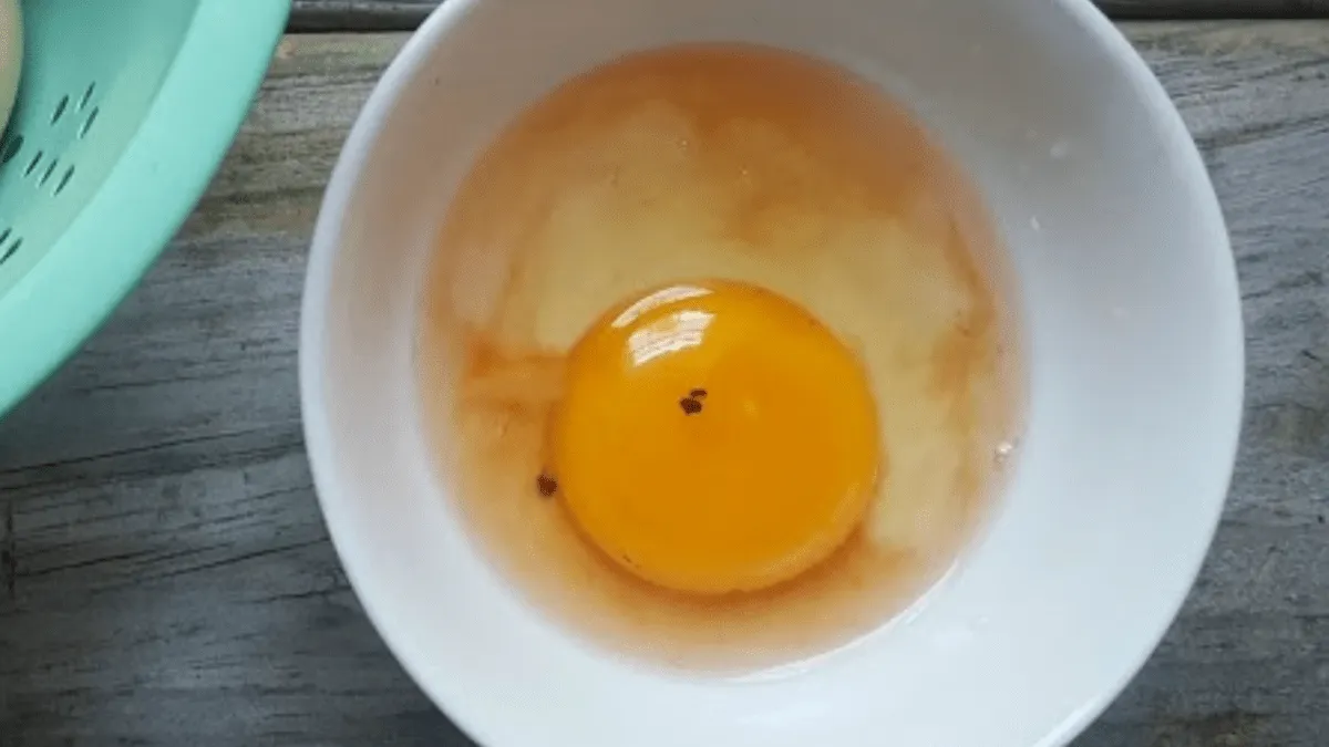 Záhadná červená skvrnka ve vejci: co byste měli vědět?