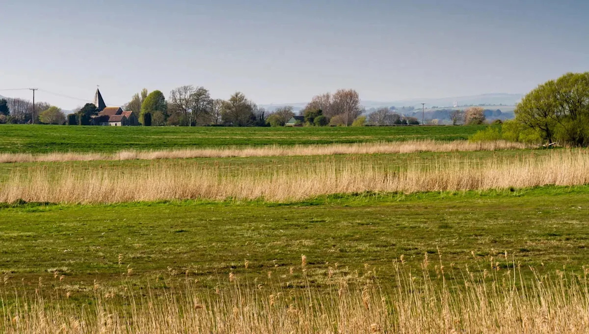 Bílí čápi se vrací — po šesti stech letech konečně v Eastbrookendu